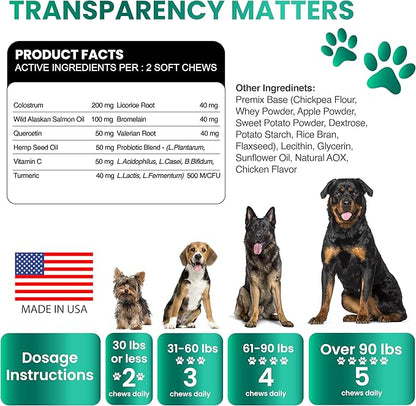 Dog Allergy Relief Chews - Dog Itching Skin Relief Treatment - 170 Chews - Anti-Itch, Hot Spots, Paw Licking - Immune Health - Omega 3 Fish Oil - Dry Itchy Skin and Coat Supplement - Made in USA