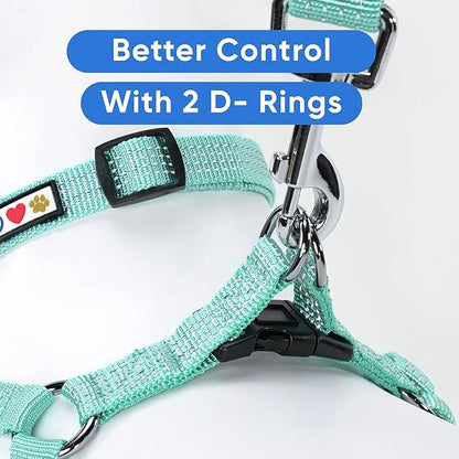 Pawtitas Reflective Step-in Dog Harness – Adjustable No-Pull Vest for Puppies to Seniors, Safe & Comfortable, L Teal