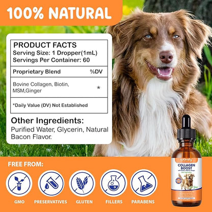 Collagen for Dogs - Liquid Collagen Supplement Drops for Dog, Itch Relief for Dogs, Boosts Skin & Coat, Joint Health, Digestion, Immunity, 60ml