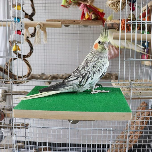 Dnoifne 7.9×5.9 Inches Large Bird Perch Stand Platform, Natural Wooden Bird Cage Accessories, Bird Stand Perch with Rough Quartz Sand Surface for Parrot, Parakeet, Budgies, Cockatiel, Rats