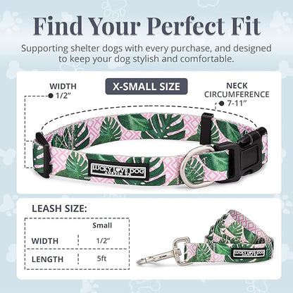 Lucky Love Dog, Tropical Matching Dog Collar & Leash Set, Soft & Comfy, Vivid Pink Color Collar and Leash for Female Male Dogs - (X-Small, Laguna Combo)
