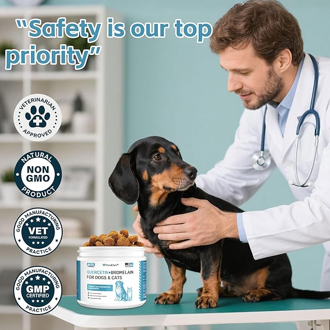 Quercetin for Dogs with Bromelain - Dog Allergy & Itch Relief Chews, Balanced Immune System – Skin & Ear Soothing Support for Yeast Infection, Hot Spots & Seasonal Allergies - 120 Treats