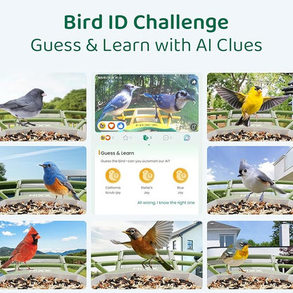 HIXX Smart Bird Feeder with Camera, AI Identify Birds & Auto Capture, 2K HD Live Camera Birdwatching with Color Night Vision for Bird Lovers Gifts (Forest Green)