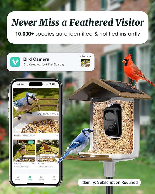 BIRDSFAVE-Bird Feeder with Camera Solar Powered, 2K Clear Live/Video/Photo Auto Arrival Alerts AI Identify Smart Cameras Birds Feeders with 32GB Card DIY Add-ons, 2.4G WiFi Wireless Birdwatching Gift