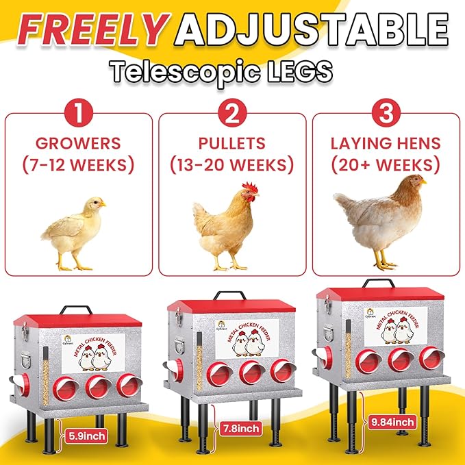 Cybrasc 10-Gal 55LB Metal Chicken Feeder with Window, Dual No-Waste & Rat-Proof Design, Automatic Large Chicken Feeder for Outdoor Coops, Rust-Proof Alloy Steel Poultry Feeder with Adjustable Legs