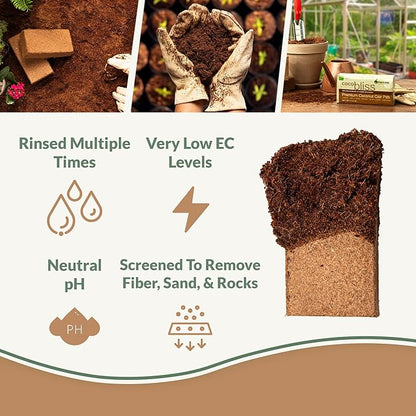 Coco Bliss 650gm Bricks (5-Pack) + Perlite Bliss (8 Qts) - Coco Coir Bricks & Organic Perlite for Plants - Coco Coir Perlite Mix - Organic Coco Coir for Plants - Coconut Coir Bulk Potting Soil Mix