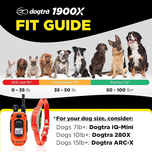 Dogtra 1900X Orange E-Collar for Dog Training - 3/4 Mile Range, for Dogs 35 lbs+, IPX9K Waterproof, 100 Stimulation Levels, Vibration, Tone, Rechargeable - Ideal for Dog Owners and Trainers