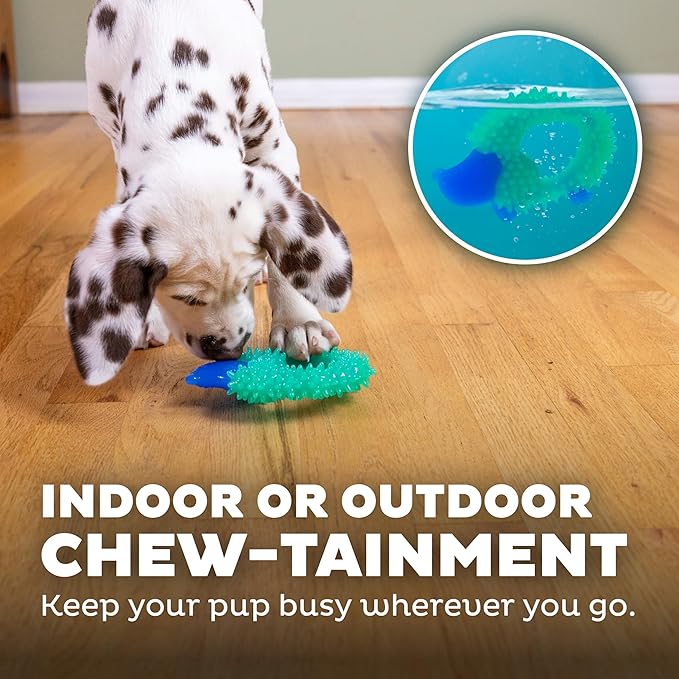 Outward Hound Cutie Chewies Hedgehog Dental Dog Chew Toy, Blue