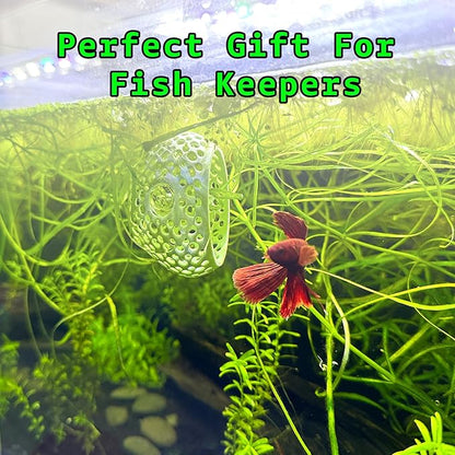 CTWPets Betta Bulb Hide | Betta Rest Fish Tank Ornament | Aquarium Cave with Suction Cup for Small Fish Tank, Betta Habitat, Shrimp Hideout, Aquatic Decor (Cotton Candy Blue)