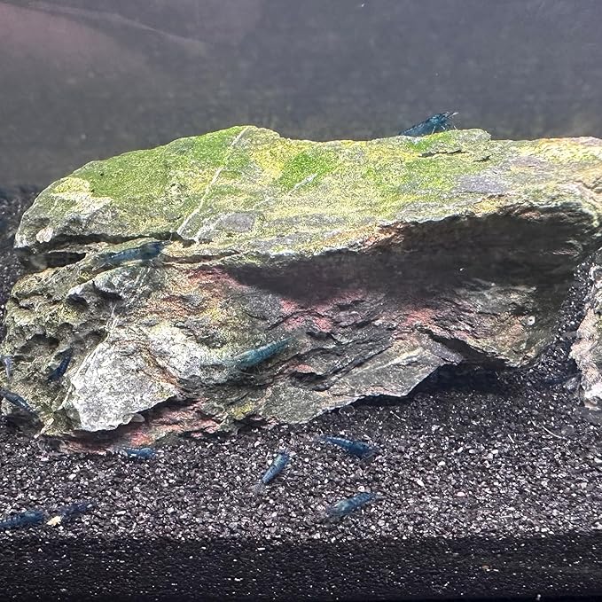 Aquarium Sand, 5lbs Black Fish Tank Sand, Aquarium Gravel Substrate for Aquascaping, Vivariums, Terrariums, Plants and Crafts