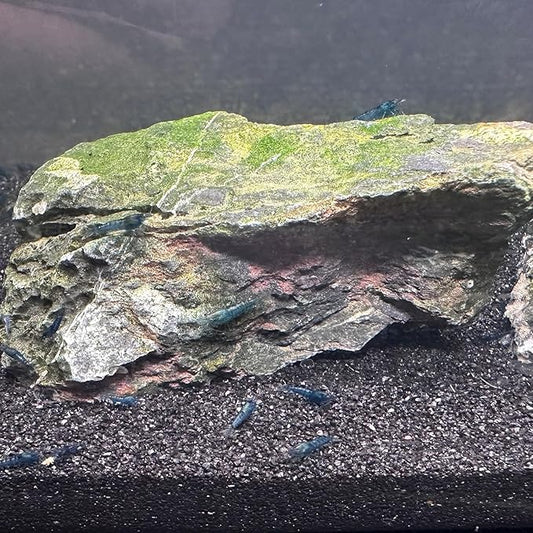 Aquarium Sand, 5lbs Black Fish Tank Sand, Aquarium Gravel Substrate for Aquascaping, Vivariums, Terrariums, Plants and Crafts