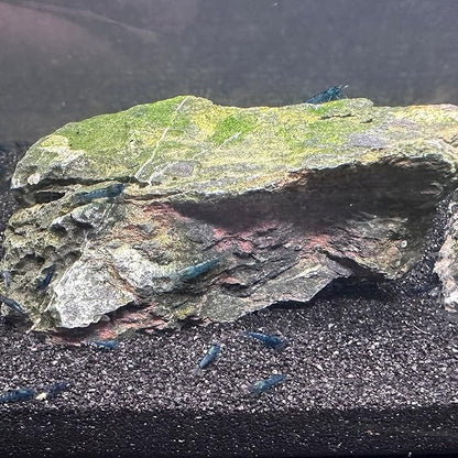 Aquarium Sand, 10lbs Black Fish Tank Sand, Aquarium Gravel Substrate for Aquascaping, Vivariums, Terrariums, Plants and Crafts