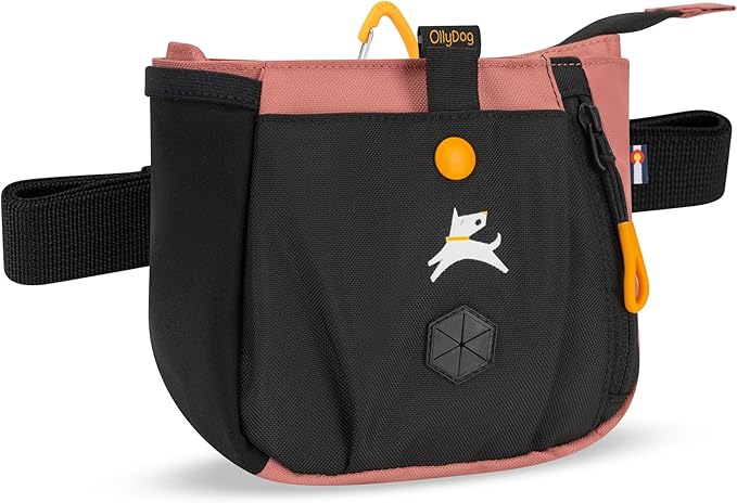 OllyDog Backcountry Day Bag | Hands-Free Dog Training Treat Pouch | Fanny/Hip Pack with Zipper Closure & Built-in Poop Bag Dispenser | Removable Waist Clip (Desert)