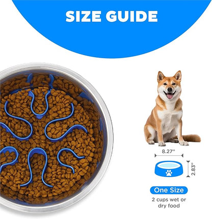 Outward Hound Stainless Steel Slow Feeder Bowl, Plastic Puzzle Maze for Fast Eaters, Small to Medium Dogs, Helps Prevent Bloat & Aid Digestion, Holds 2 Cups Wet or Dry Food, Non-Slip, Made Without BPA