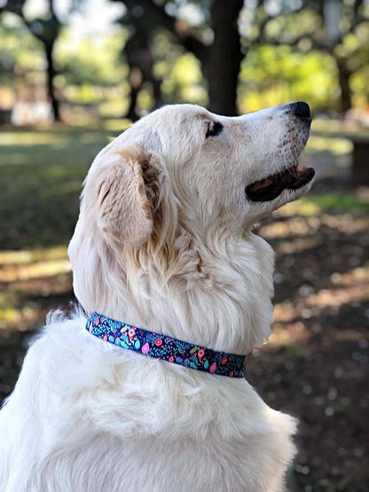 Lucky Love Dog - Adjustable Collar and Leash Set with Easy Click Buckle for Small to Large Dogs, Durable, & Comfortable Collar for Male & Female Dogs, Puppies & Adult - Sweet Holiday Combo, XS