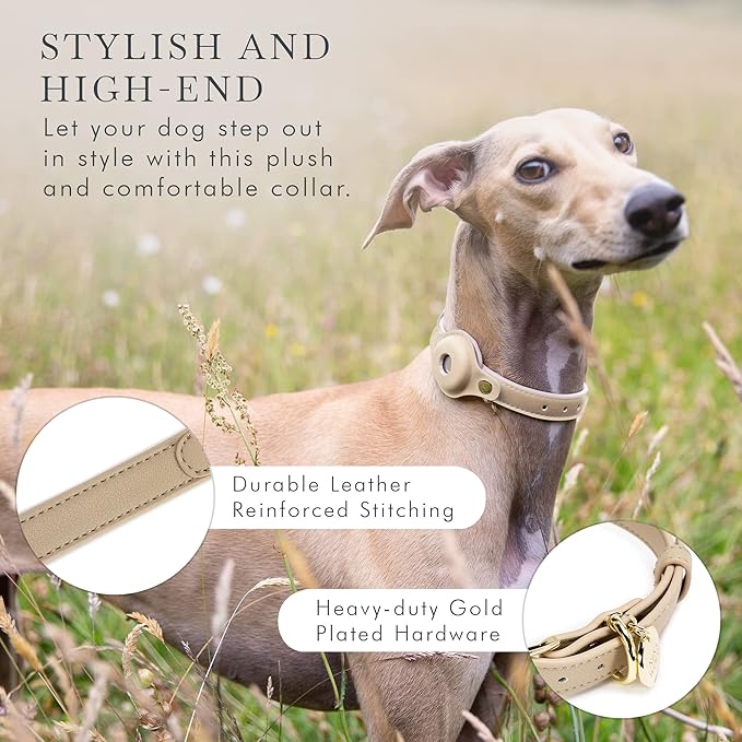 NINA WOOF Cupertino Dog Collars, Harnesses & Leashes Made from Vegan Leather with Dog Tracker Device Holder Adjustable Dog Collar (Small, Beige)