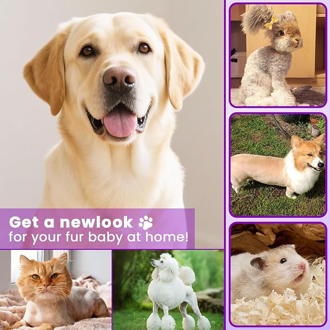 Dog Paw Trimmer - 4-in-1 Dog Clippers Grooming Kit with Low Noise & IPX7 Waterproof Design Includes Comb Paw Trimmer Nail Grinder - Rechargeable & Cordless Pet-Friendly Clipper (Purple)