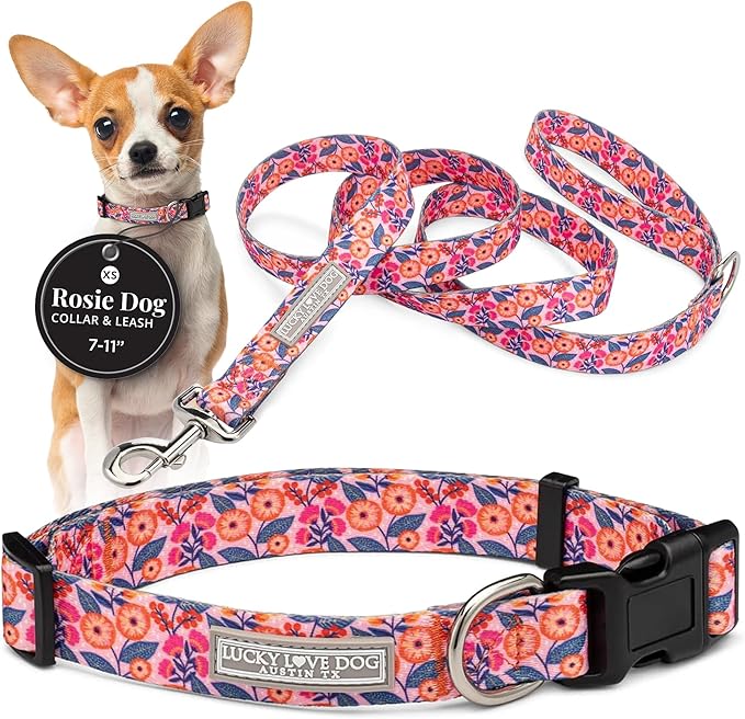 Lucky Love Dog - Easy Click Buckle Dog Collar with Leash Set Combo, Durable & Comfortable for Male & Female Dogs, Pet Collar for Small to Large Dogs, Secure Fit - Floral Rosie Combo, X-Small