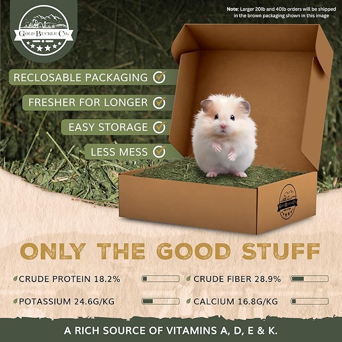 Gold Buckle Co 20lb Farm Fresh, USA Grown, Organic Alfalfa Hay for Rabbits, Guinea Pigs, Chinchillas, Goats, Hamsters & Ferrets - Small Animal Food Rich in Protein & Fiber - Just Dried, Hand-Selected
