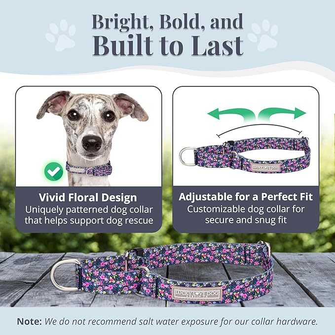 Lucky Love Dog Martingale Dog Collar - Adjustable, No-Slip, Durable, & Soft Webbing Collar for Male and Female Dogs Ideal for Training & Walking - Primrose, Medium