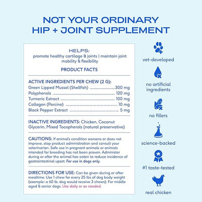 Native Pet Pain Relief for Dogs - Collagen for Dogs Promotes Joint Health, Reduce Inflammation & Stiffness - Senior Pup Joint Supplement - Natural Pain Reliever for Active & Aging Pets - 30 Chews