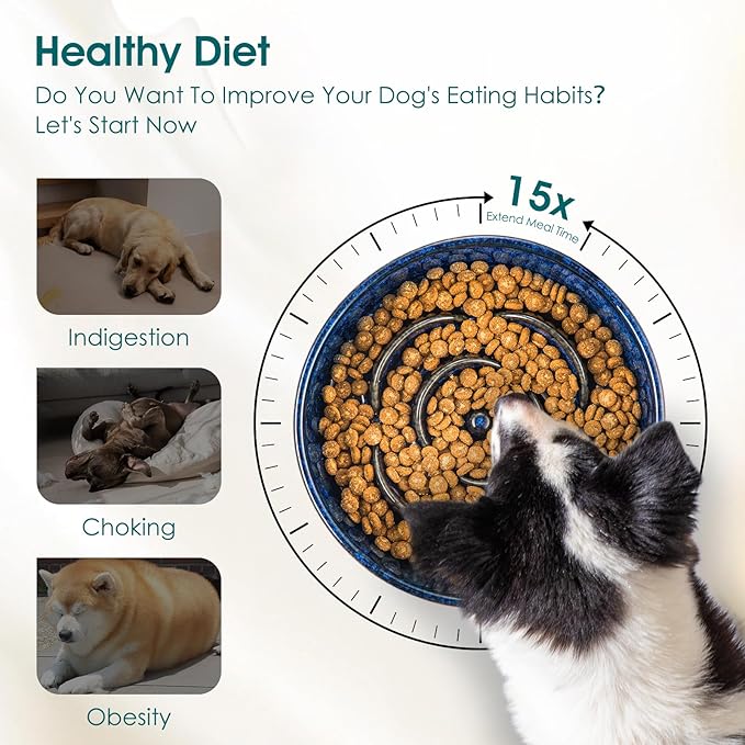 vancasso Slow Feeder Dog Bowl, 3 Cups Ceramic Slow Feeder for Large Breed, Puzzle Maze Dog Food Bowl for Fast Eater, Blue