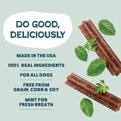 Shameless Pets Dental Chews for Dogs, Mighty Mint Minis, Healthy Treats for Teeth Cleaning & Fresh Breath - Free from Grain, Corn, & Soy for Small Dogs