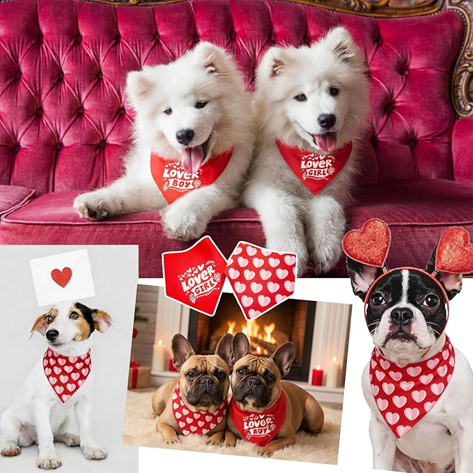 Dimidium Valentines Day Dog Bandanas 2 Pack, Love Pet Scarf for Boy & Girl Dogs, Premium Durable Fabric, Heart Bandana for Small & Medium Dogs (Medium)