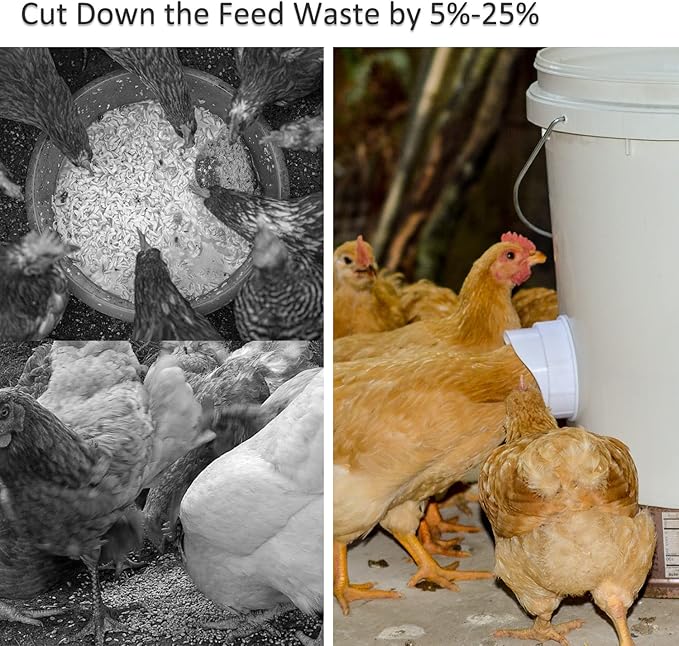 Automatic Chicken Feeder Set Hanging Chicken Feeder No Waste Poultry Feeder Kit 20lb Chicken Feed Container