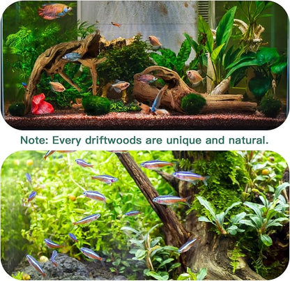 LYPHARD AQUARIUMS Driftwood for Aquarium, 2 Pieces 14-18 Inches Large Natural Drift Wood Fish Tank Assorted Branch Decorations for Reptile Hide