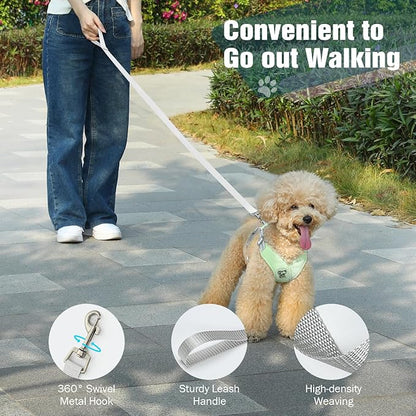 Pawaboo Small Dog Harness and Leash Set, Puppy Harness X-Frame No Pull No Choke, Dog Vest Harness Adjustable for Small Medium Sized Dogs, Soft Breathable Pet Harness for Walking Outing, S, Mint Green