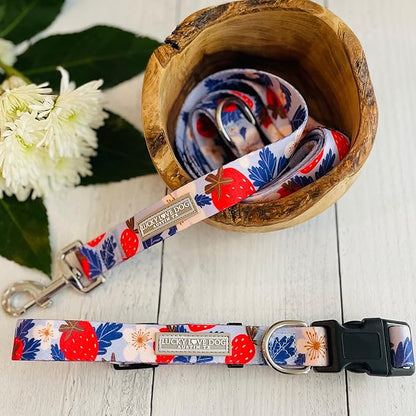 Lucky Love Dog - Easy Click Buckle Dog Collar with Leash Set Combo, Durable & Comfortable for Male & Female Dogs, Pet Collar for Small to Large Dogs, Secure Fit - Sweet Berry Combo, XS