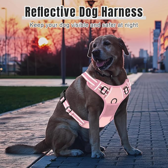 Rnivvi No Pull Dog Harness, Cute Reflective Extra Small Sized Puppy Kitten Harness, Adjustable Soft Padded Vest for Small Dogs, Cats, Heavy Duty Pet Vest with Easy Control Handle for Walking, Pink