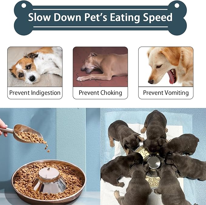 2 Pack Stainless Steel Puppy Bowls, Small Dog Bowls for Food and Water, Puppy Slow Feeder Whelping Weaning Dishes for Multiple Puppies Kittens Supplies