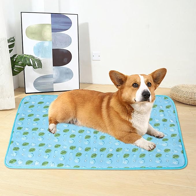 DELIFUR Cat Cooling Mat- Pet Cooling Mat Outdoor for Dogs Self Cooling Pad for Kitten Cat Puppy Machine Washable (Small, Blue Ice)
