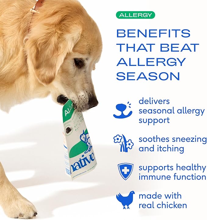 Native Pet Dog Allergy Chews - Dog Allergy Relief with Probiotics and Colostrum for Itchy Skin Relief to Support Seasonal Allergy and Healthy Immune System - All Natural Anti-Histamine - 30 Chews