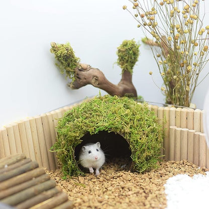 SanmooAio Hamster Hideaway/Hideout,Mossy Cave Hide,Hamster House/Hides,Hamster Cage Accessories for Gguinea Pig/Hedgehogs/Gliders/Rats/Mice and Other Small Animals(Set)