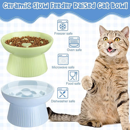 Tioncy 2 Pcs Raised Cat Slow Feeder Bowl Ceramic Elevated Cat Dog Food Bowl No Spill High Edge for Dry Wet Food and Water Easy to Clean, Dishwasher Safe(Green, Blue)