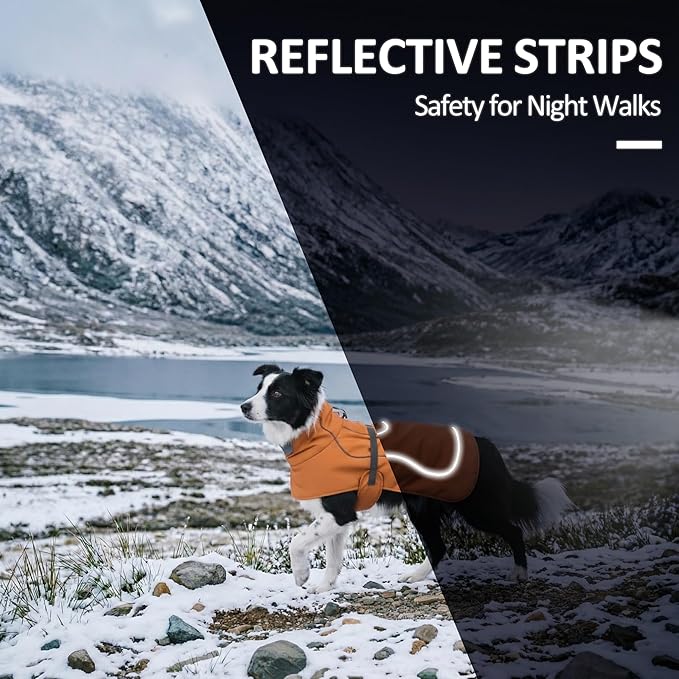 Softshell Dog Coat for Winter Walks and Hiking, Windproof and Water-Repellent Jacket with Harness Opening and Reflective Strips, Ideal Stocking Stuffer for Active Dogs (Aurantium, Small)