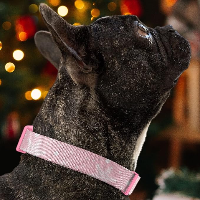 Pawtitas Soft Adjustable Puppy Collar Leash Harness Sold Separately Personalized Customizable Dog Collar Embroidered Customize Pet Name Phone Number Christmas Dog Collar Small Pink Snowflakes