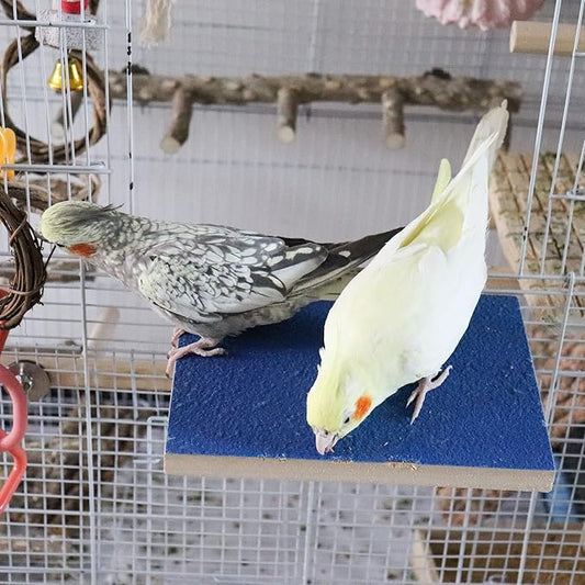 Dnoifne 7.9×5.9 Inches Large Bird Perch Stand Platform, Natural Wooden Bird Cage Accessories, Bird Stand Perch with Rough Quartz Sand Surface for Parrot, Parakeet, Budgies, Cockatiel, Rats