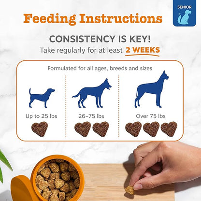 Zesty Paws Senior Dog Multivitamin Treats - Glucosamine for Dogs + Digestive Enzymes & Probiotics - Grain Free Dog Vitamins and Supplements for Skin & Coat + Immune Health Beef - Advanced - 90ct