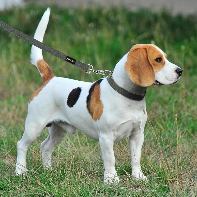 Plutus Pet Cotton Hemp Dog Collar and Leash Set, Adjustable Collar for Small, Medium, and Large Dogs, Heavy Duty and Soft on Skin, Gray, XS