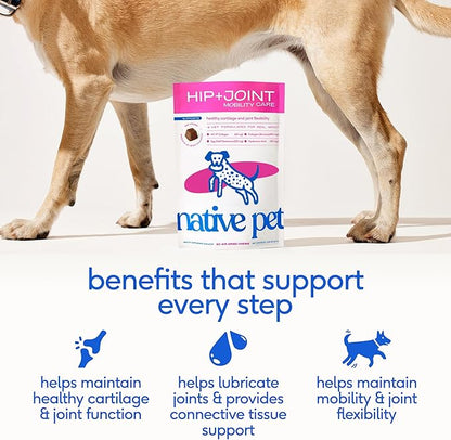 Native Pet Hip & Joint Supplement for Dogs - Advanced Dog Joint & Arthritis Supplement - Helps Maintain Healthy Cartilage, Joint Flexibility, Lubrication, & Function - with ESM & Collagen - 60 Chews