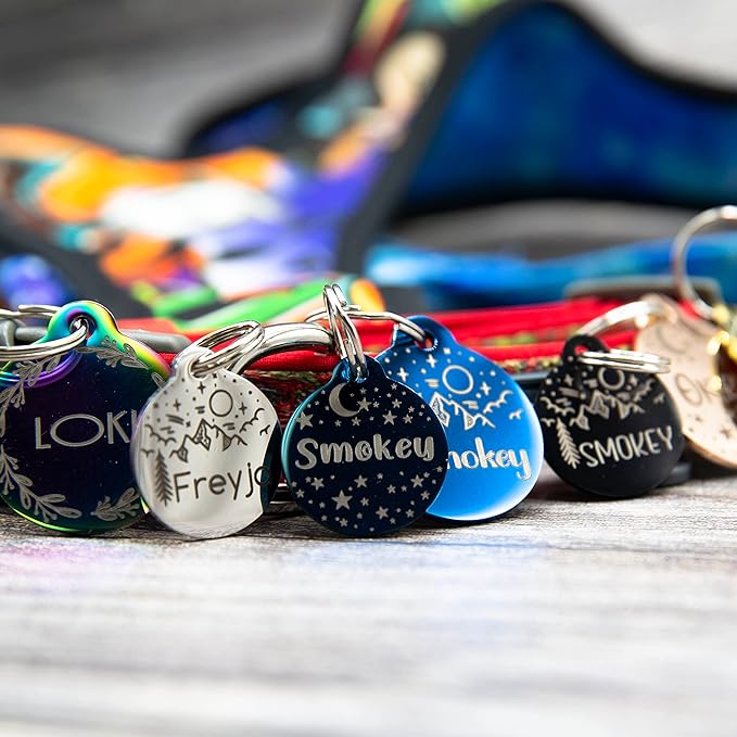 Personalized Dog Tag with 5 Lines of Custom Deep Engraved Durable Stainless Steel Pet ID Name Tag Designer Regular Size Round