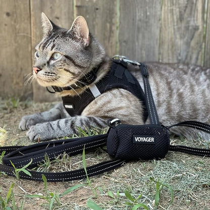 Voyager Step-in Air Cat Harness - All Weather Mesh Step in Vest Harness for Small and Medium Cats by Best Pet Supplies - Harness Leash Set (Black), XXS