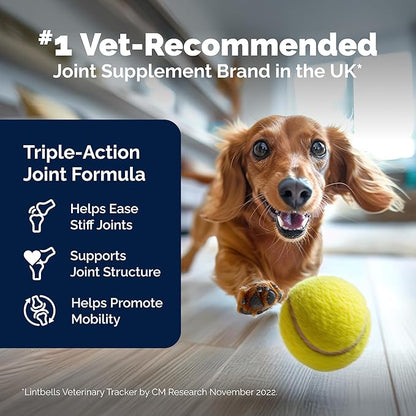 Yumove Hip & Joint Supplement for Dogs with Glucosamine, Hyaluronic Acid, Green Lipped Mussel & Omega 3 Joint Supplement - Regular or Advanced Strength (90 Count, Advanced Vet Strength Soft Chews)