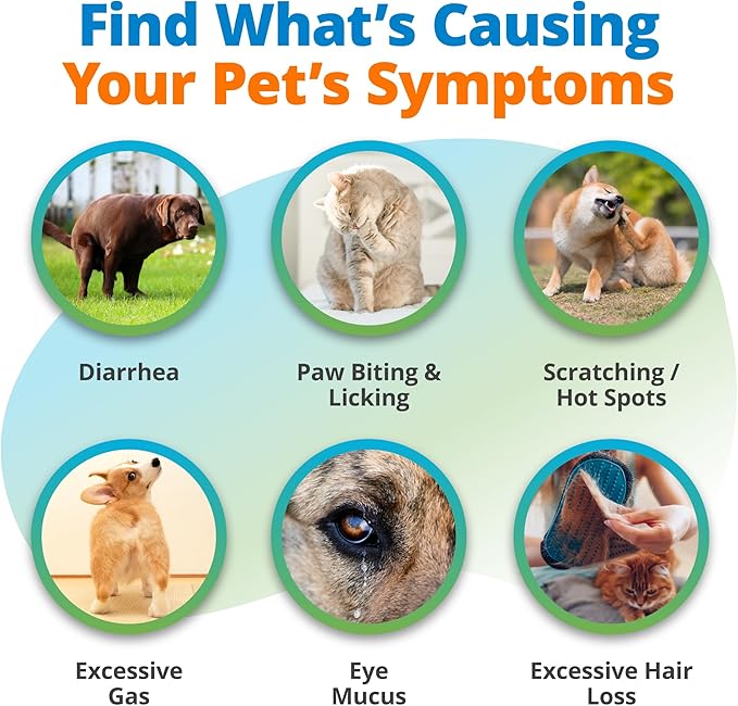 5Strands Pet Raw Food Intolerance Test, at Home Sensitivity Test for Dogs & Cats, 410 Items, Hair Analysis, Accurate for All Ages & Breeds, Pet Gut Health, Fast 4 Day Results