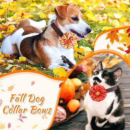 Huhumy 50 Pcs Thanksgiving Collar Bows for Fall Dogs Bow Ties Flowers Charms Attachment for Small Medium Large Dogs Cats Collar Accessories Holiday Party Costumes