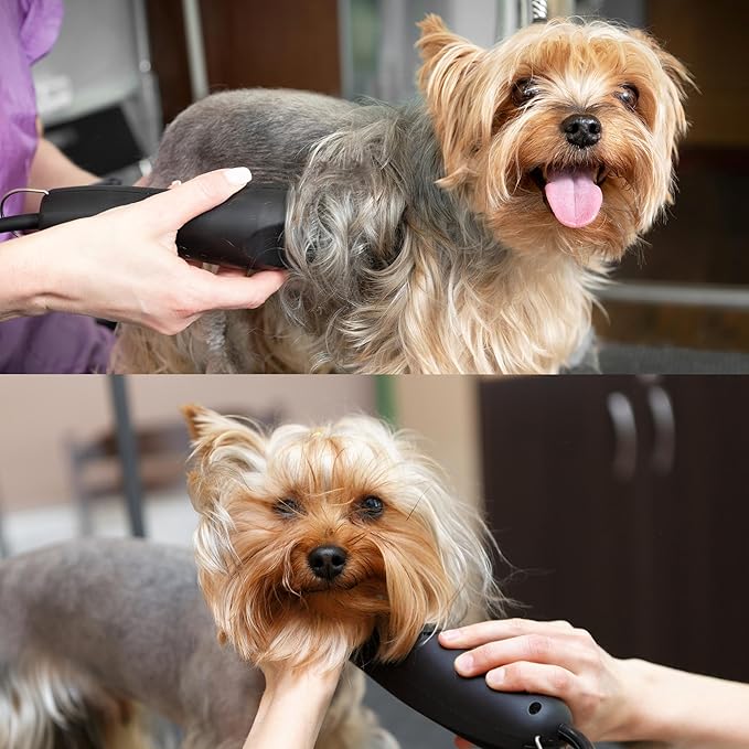 Detachable A Series 8 1/2 Blade Dog Grooming Clipper Blade Cuts Length 7/64" - 2.8mm Japanese Carbon Steel 8 1/2 Clipper Blade | 2.8mm Clipper Blade (Compatible A5 Series(B812)